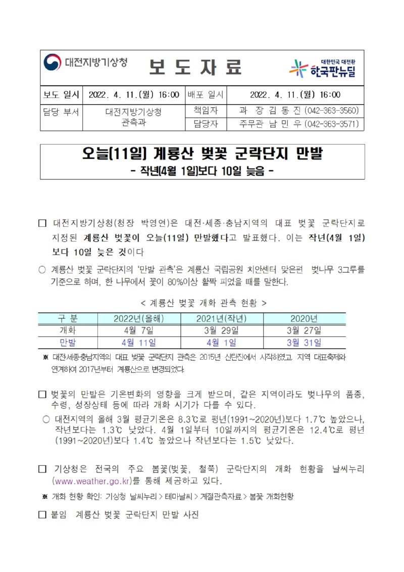 군락지 벚꽃 만발 보도자료_대전청 관측과001.jpg