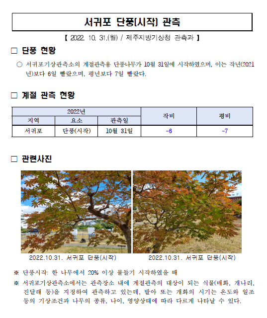 서귀포 단풍시작.png