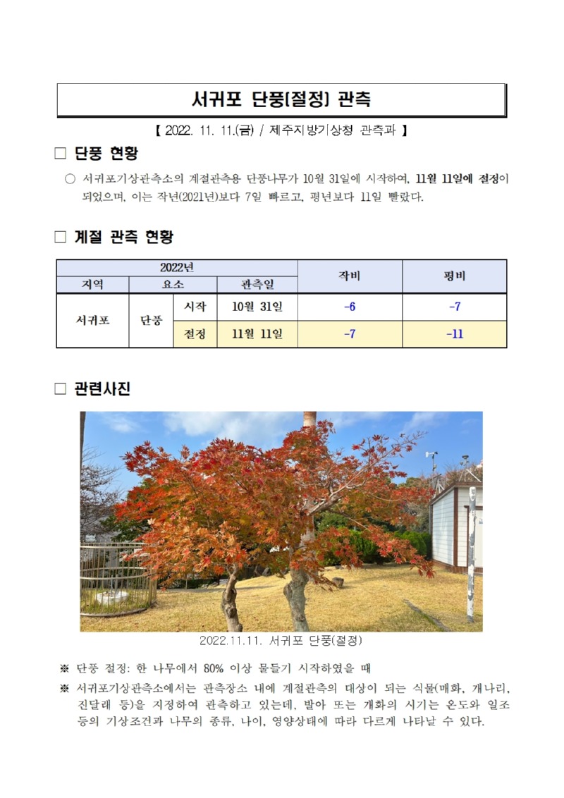 서귀포 단풍(절정) 관측.jpg