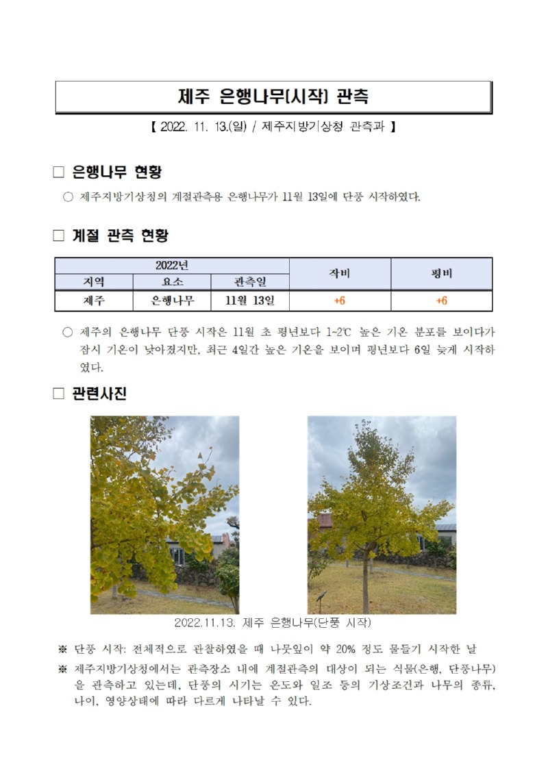 제주 은행나무(시작) 관측001.jpg