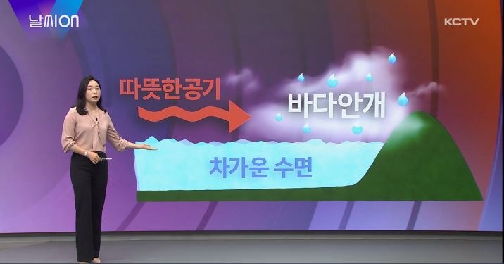 (220415) KCTV 날씨온_바다안개.JPG