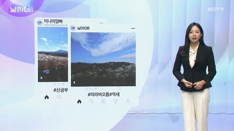 제주 가을 풍경.JPG