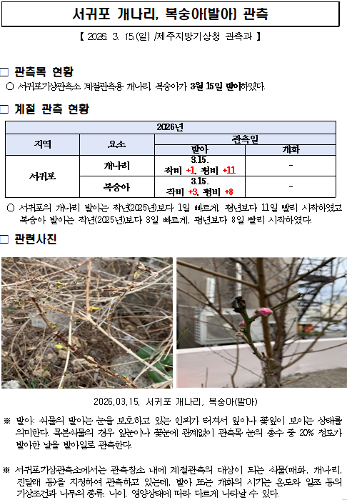 스크린샷 2026-03-15 152102.png