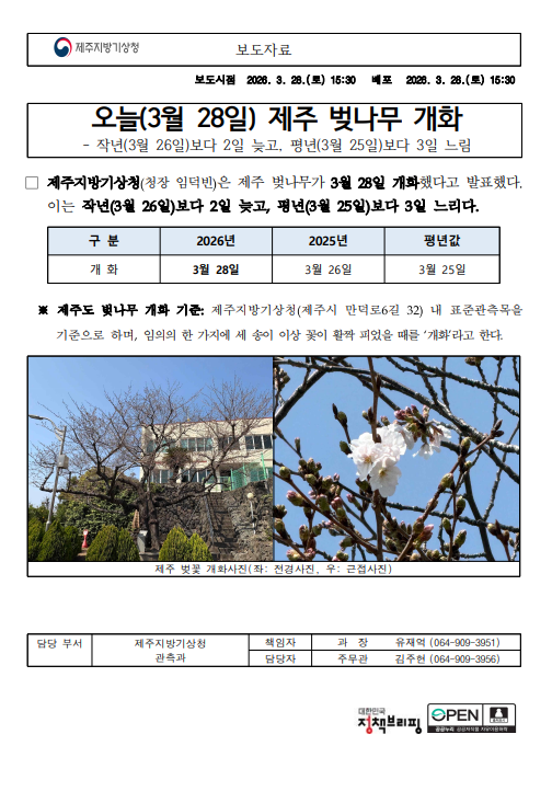 3월 28일 제주 벚나무 개화 보도자료