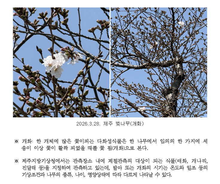 스크린샷 2026-03-28 151652.png