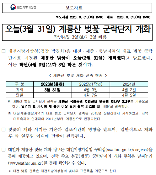 오늘(3월 31일) 대전, 세종, 충남지역의 대표 벚꽃 군락단지로 지정된 계룡산 벚꽃이 오늘(3월 31일) 개화했다. 이는 작년(4월 3일)보다 3일 빠른 것이다.