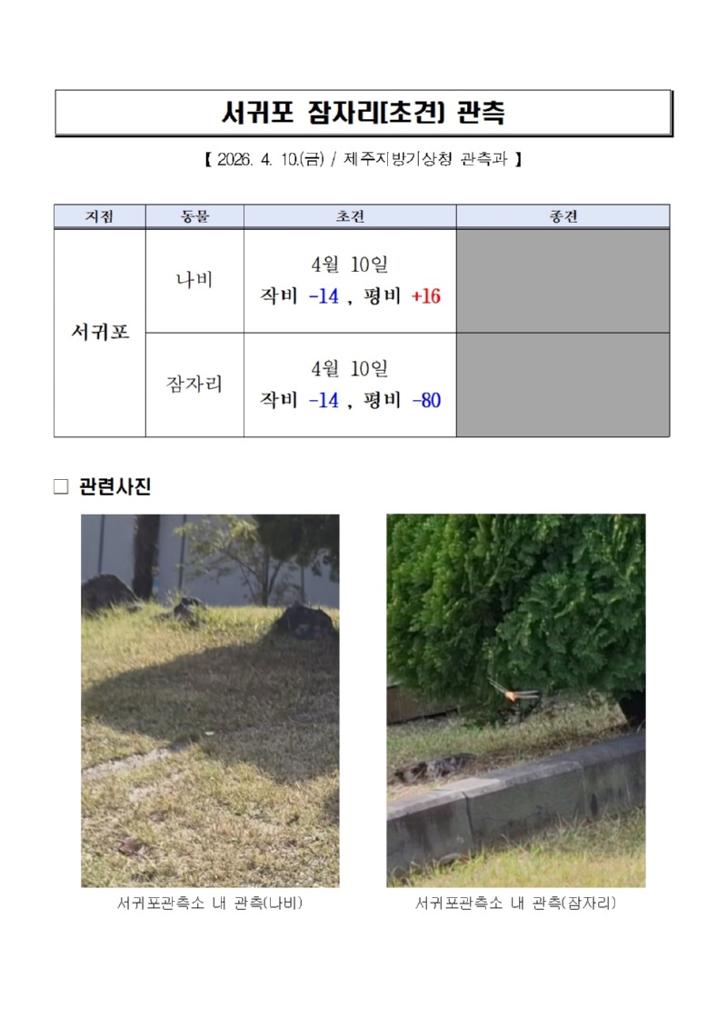 서귀포 나비(초견), 잠자리(초견)관측(20260410)001.jpg