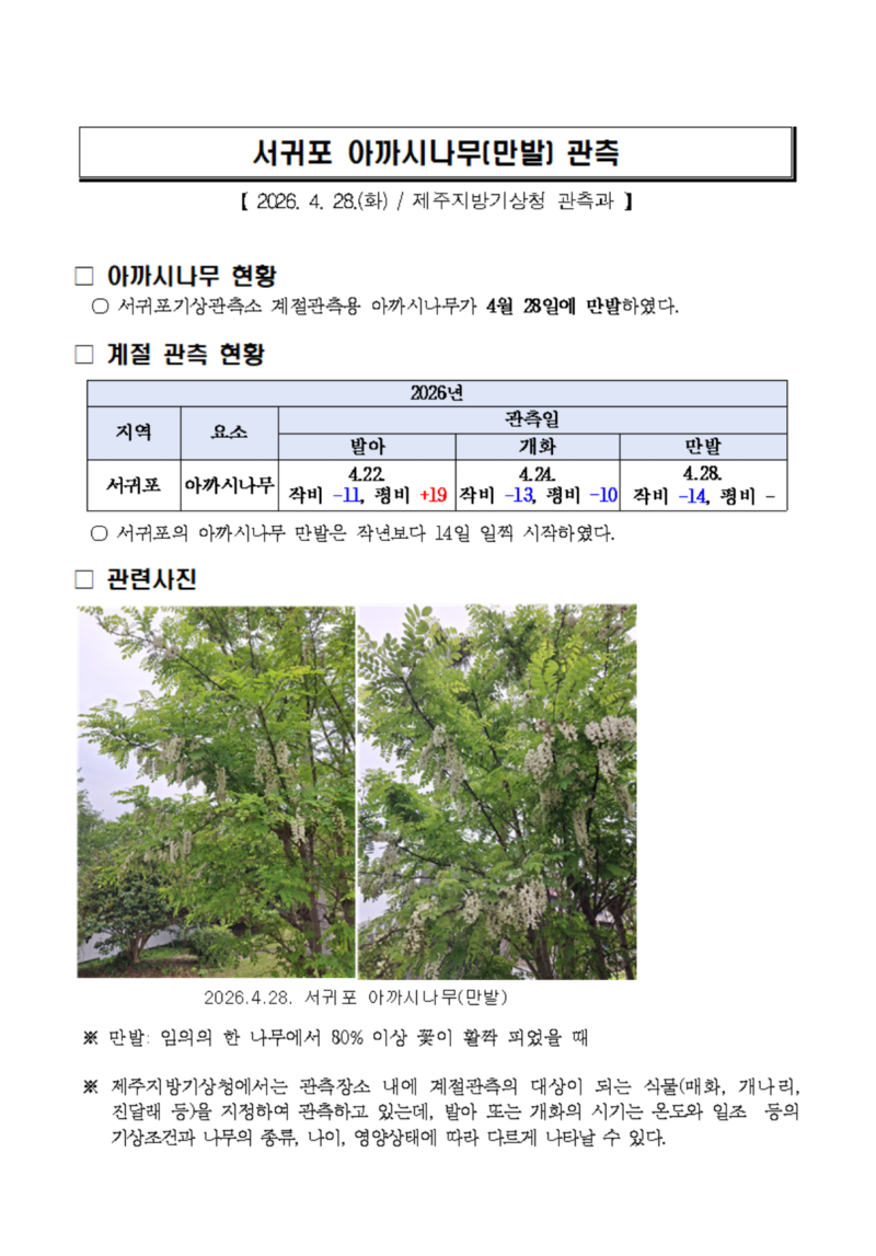 아까시나무만발 캡처.png