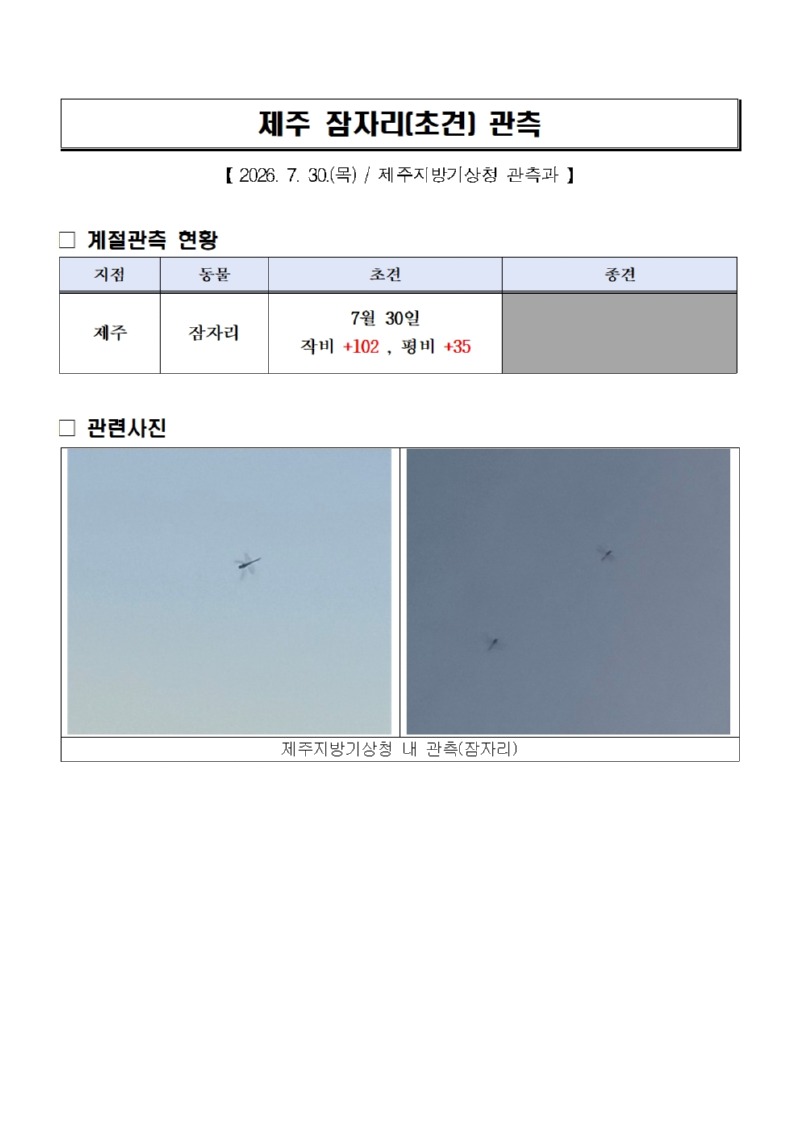 제주 잠자리(초견) 관측001