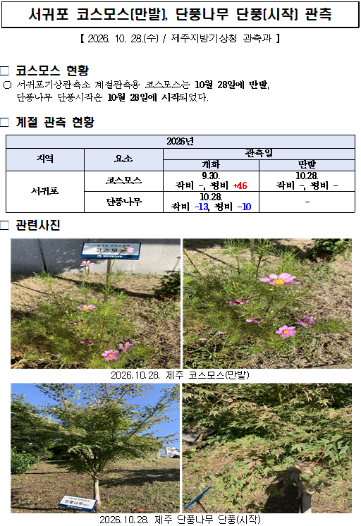 스크린샷 2026-10-28 1453333.png