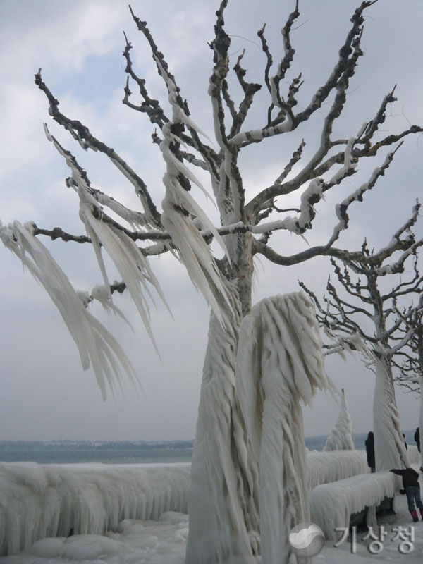 기상청 얼음나라의 얼음나무 
