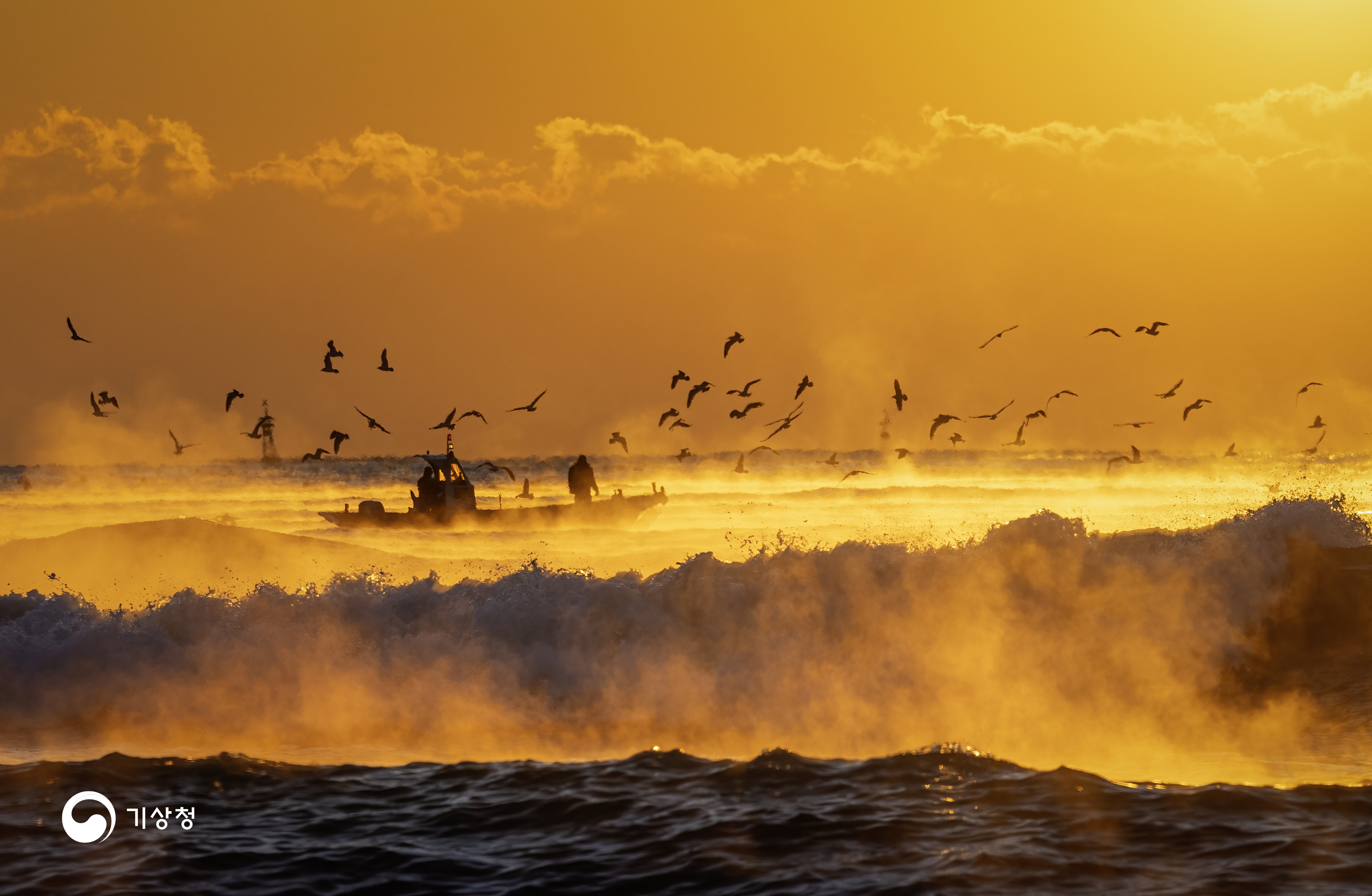기상청 파도가 일렁이는 금빛 바다
