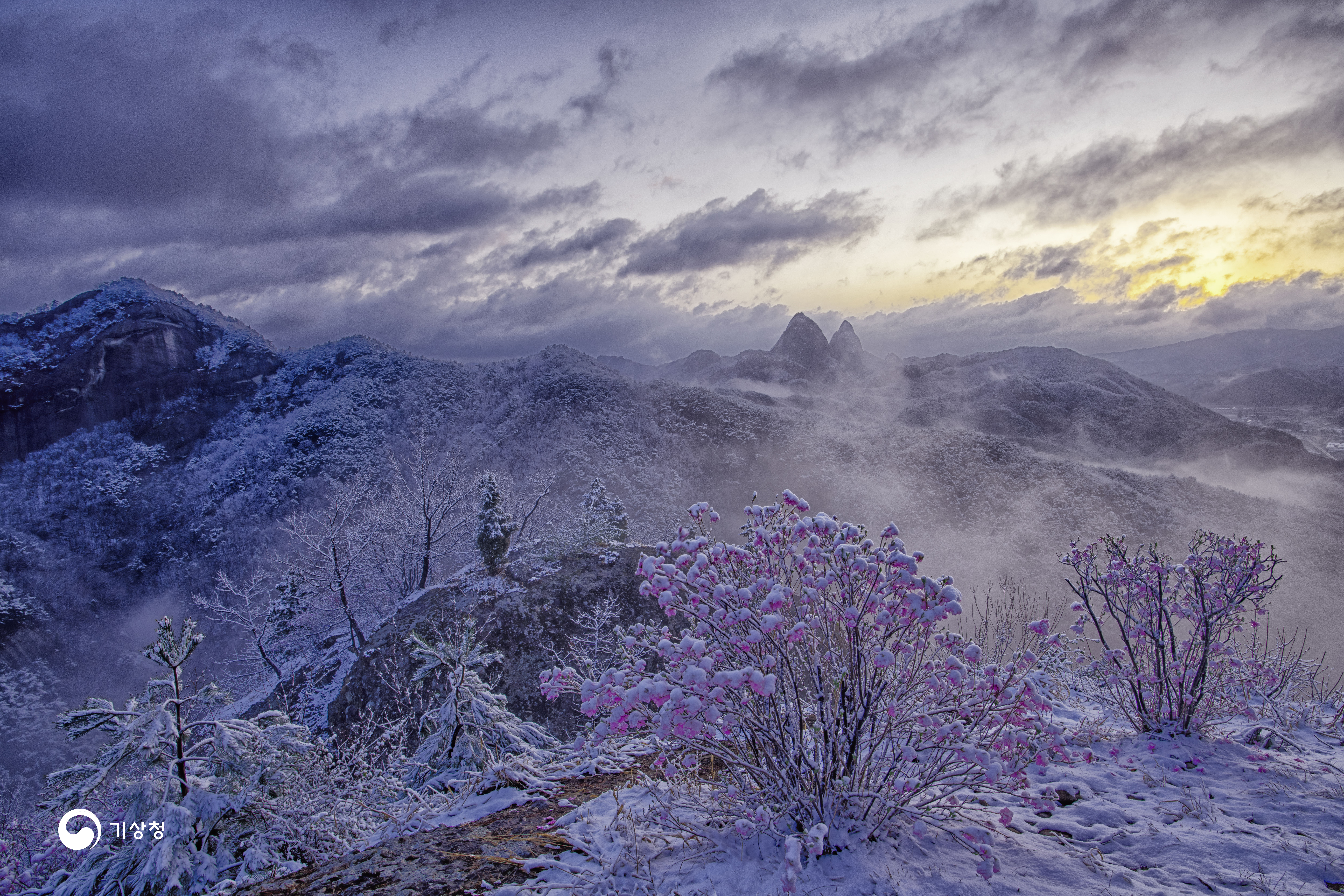 기상청 4월의 진달래 눈꽃과 마이산