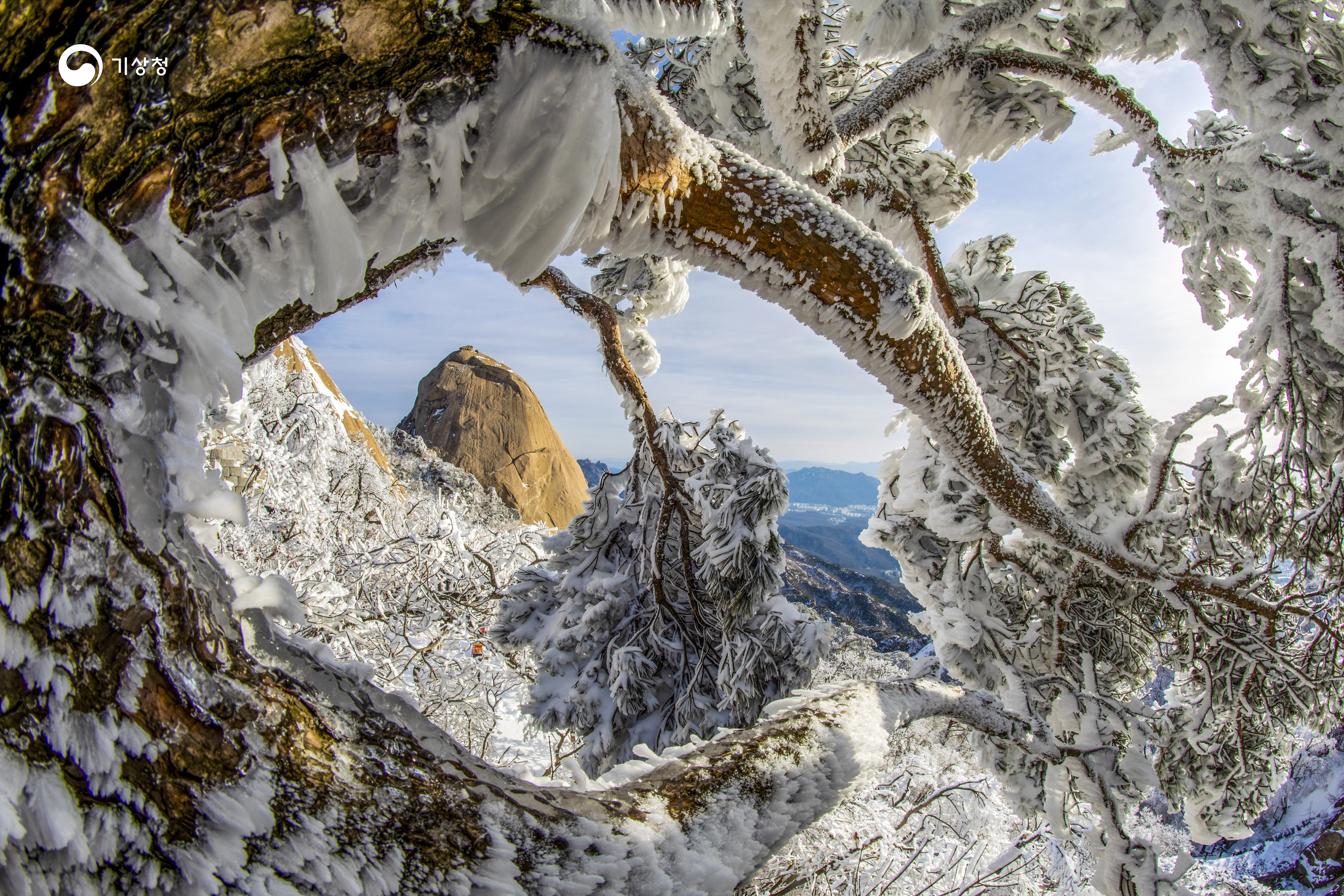기상청 눈 덮인 소나무와 인수봉