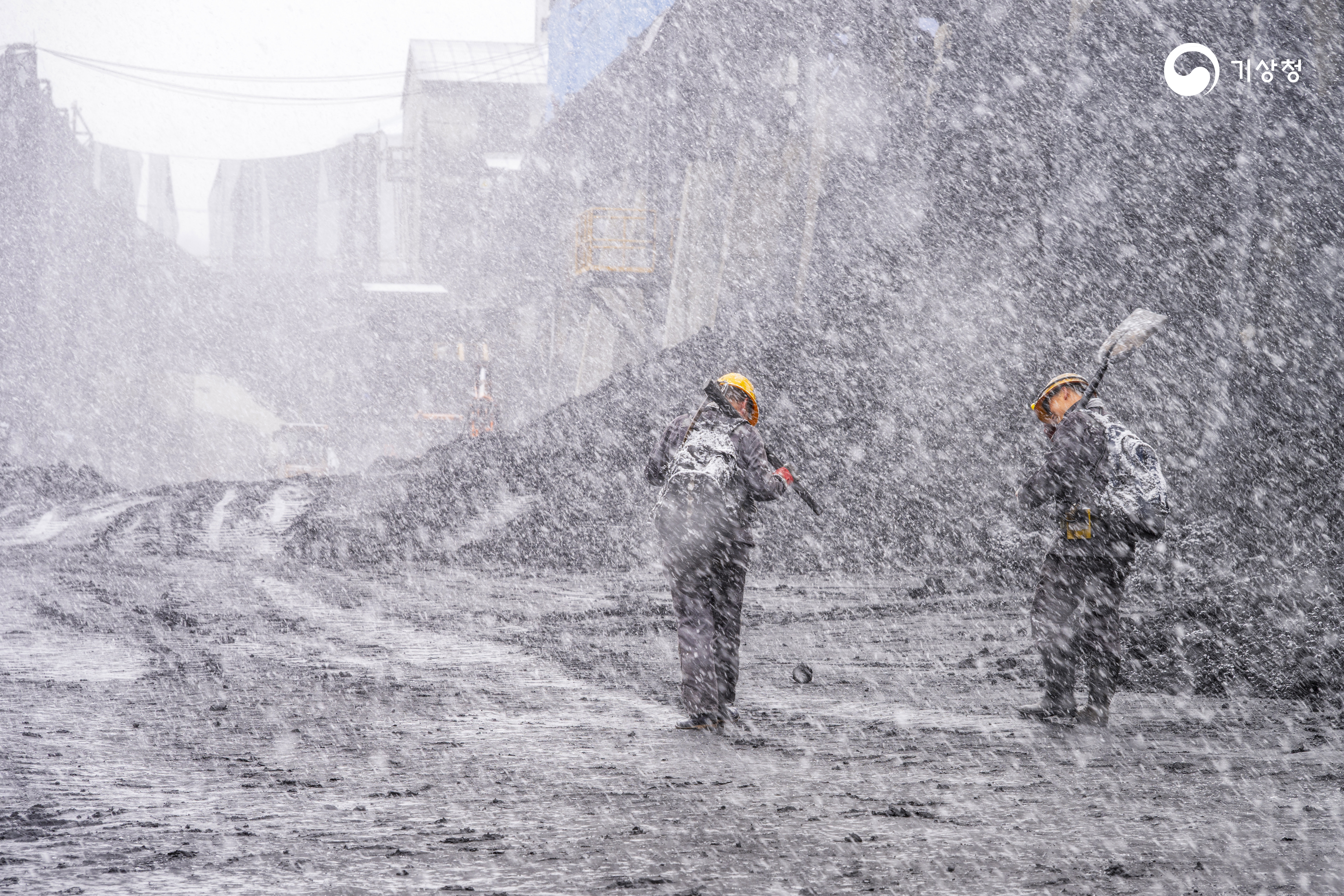 기상청 봄에 내리는 폭설