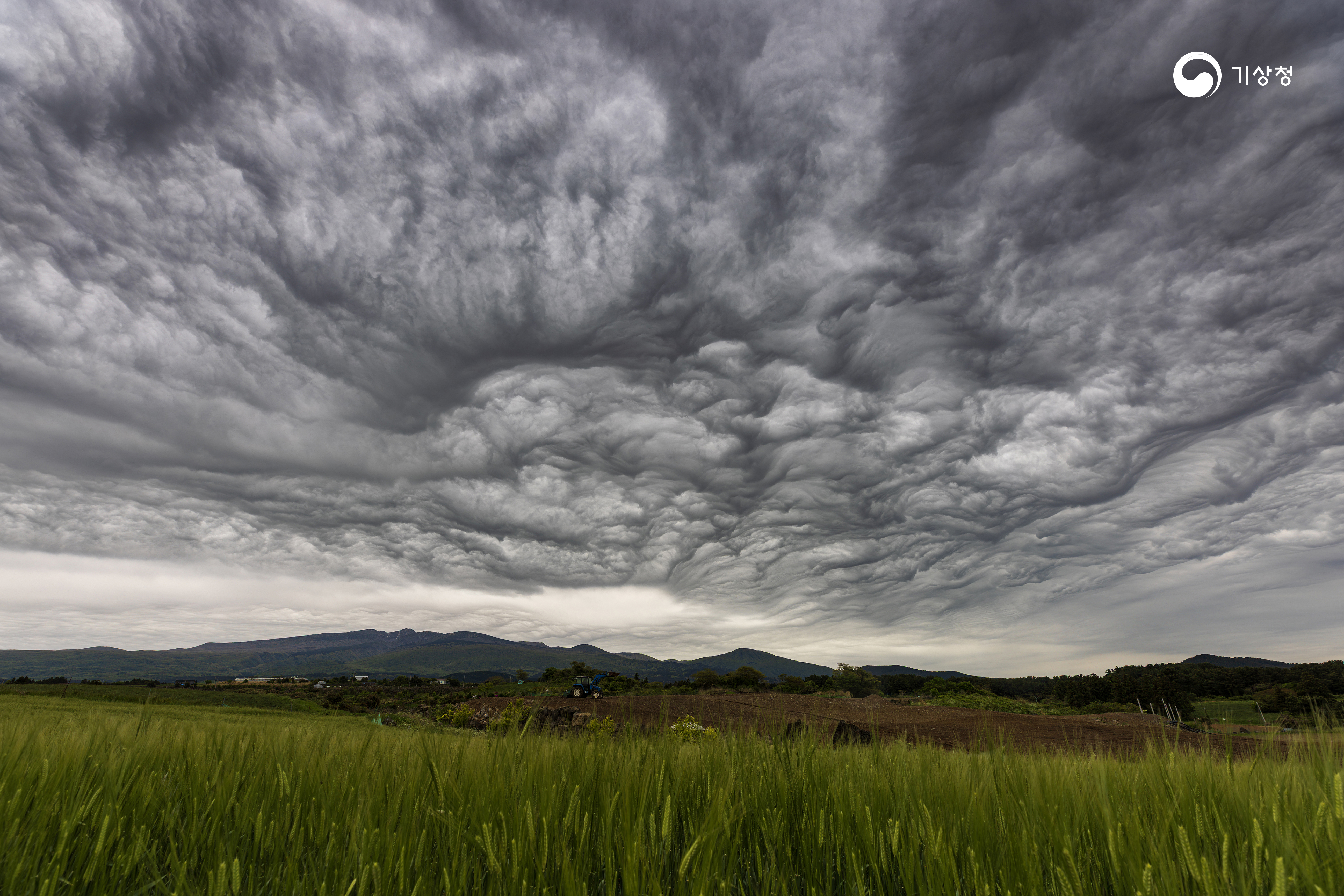 기상청 거친 구름 물결